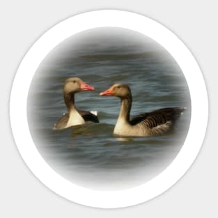 Wild geese Sticker